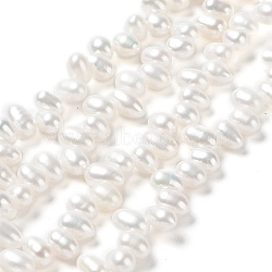 Natural Cultured Freshwater Pearl Beads Strands, Grade 6A+, Rice, Seashell Color, 7~8x4~5mm, Hole: 0.5mm, about 70pcs/strand, 13.66''(34.7cm)(PEAR-J007-84)