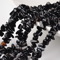 Nuggets Natural Black Agate Beads Strands, 4~6x8~12x2~4mm, Hole: 1mm, about 34.6 inch(G-M344-13)