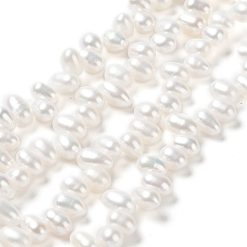Natural Cultured Freshwater Pearl Beads Strands, Grade 6A+, Rice, Seashell Color, 7~8x4~5mm, Hole: 0.5mm, about 70pcs/strand, 13.66''(34.7cm)