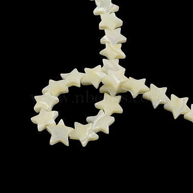 Star Shape Natural Sea Shell Beads Strands(X-SSHEL-F290-18A)-2