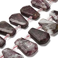 Natural Plum Blossom Tourmaline Beads Strands, with Glass Beads, Faceted, Teardrop, Top Drilled, 26~30.5x16~22.5x6.5~8.5mm, Hole: 1.4mm, about 18pcs/strand, 15.28~15.94''(38.8~40.5cm)(G-H078-A01-01)