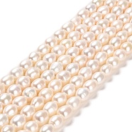 Natural Cultured Freshwater Pearl Beads Strands, Rice, Grade 5A, Linen, 7~10x6~7mm, Hole: 0.6mm, about 44~48pcs/strand, 14.17~14.37 inch(36~36.5cm)(PEAR-E016-194C)