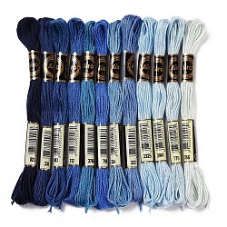 12 Skeins 12 Colors 6-Ply Polyester Embroidery Floss, Cross Stitch Threads, Gradient Color, Blue, 0.5mm, about 8.75 Yards(8m)/Skein, 12 skeins/set(OCOR-M009-01B-05)
