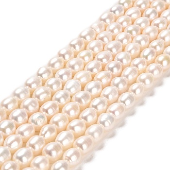 Natural Cultured Freshwater Pearl Beads Strands, Rice, Grade 5A, Linen, 7~10x6~7mm, Hole: 0.6mm, about 44~48pcs/strand, 14.17~14.37 inch(36~36.5cm)