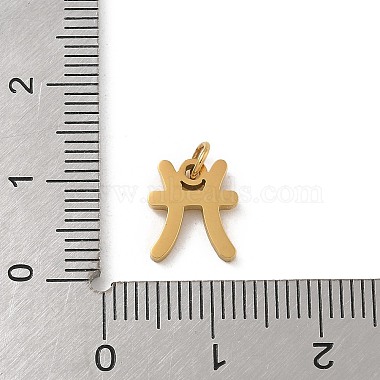 304 Stainless Steel Charms(STAS-R001-04G-12)-3