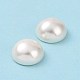 Shell Pearl Half Drilled Beads(X-BSHE-G011-01-12mm)-6