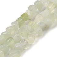 Natural New Jade Bead Strands, Tumbled Stone, Nuggets, 3~7.5x4.5~6x3~6mm, Hole: 1mm, about 61~66pcs/strand, 15.16''~15.35''(38.5~39cm)(G-F465-57)
