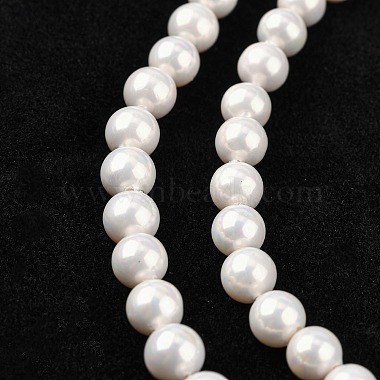 Chapelets de perles en coquille(X-BSHE-R146-6mm-02)-2