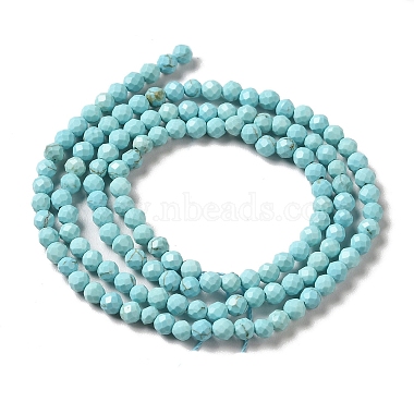 Natural Howlite Beads Strands(G-C025-03B-01)-3