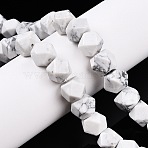 Natural Howlite Beads Strands, Faceted Cube, 10~10.5x10~10.5x10mm, Hole: 0.9mm, about 20pcs/strand, 8.27''(21cm)(G-T138-35)