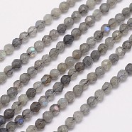 Faceted Round Natural Labradorite Bead Strands, 4mm, Hole: 1mm, about 100pcs/strand, 15.5 inch(X-G-I156-03-4mm)