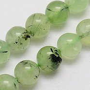 Natural Prehnite Beads Strands, Round, Pale Green, 6mm, Hole: 1mm, about 63pcs/strand, 15.5 inch(X-G-G457-6mm-03)
