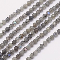 Faceted Round Natural Labradorite Bead Strands, 4mm, Hole: 0.8mm, about 100pcs/strand, 15.5 inch(X-G-I156-03-4mm)
