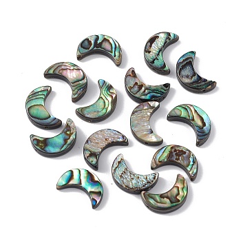 Natural Abalone Shell/Paua Shell Beads, Moon, Colorful, 15.5x10.5x3mm, Hole: 0.9mm