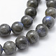 Natural Labradorite Beads Strands(G-P326-01-6mm)-3