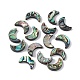 Natural Abalone Shell/Paua Shell Beads(SSHEL-M021-08)-1