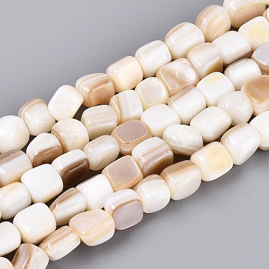 Natural Freshwater Shell Beads Strands(BSHE-T014-51A)-1
