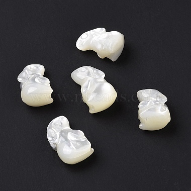Natural White Shell Beads(BSHE-H016-02)-2
