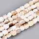 Natural Freshwater Shell Beads Strands(BSHE-T014-51A)-1
