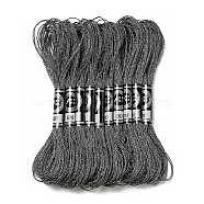 10 Skeins 12-Ply Metallic Polyester Embroidery Floss, Glitter Cross Stitch Threads for Craft Needlework Hand Embroidery, Friendship Bracelets Braided String, Gray, 0.8mm, about 8.75 Yards(8m)/skein(OCOR-Q057-A09)
