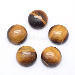 Natural Tiger Eye Cabochons, Half Round, 12x5~6mm(X-G-P393-R12-12mm)