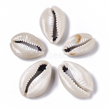 Natural Cowrie Shell Beads(SSHEL-N034-33)-2