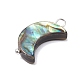 Natural Abalone Shell/Paua Shell Pendants(PALLOY-JF02701-02)-3