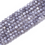 Natural Freshwater Shell Beads Strands, Dyed, Round, Light Grey, 2.5mm, Hole: 0.7mm, about 150~190pcs/Strand, 14.96 inch~15.75 inch(BSHE-T009-01A)