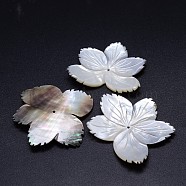 Natural Black Lip Shell Flower Beads, 39~45x49~56x3mm, Hole: 1~2mm(SSHEL-P005-02)