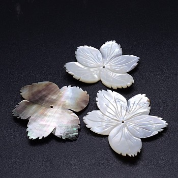 Natural Black Lip Shell Flower Beads, 39~45x49~56x3mm, Hole: 1~2mm