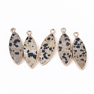 Edge Golden Plated Natural Dalmatian Jasper Pendants, with Iron Loop, Horse Eye, 28.5~30.5x10.5x3.5mm, Hole: 1.6mm(G-T131-06H)