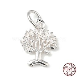 925 Sterling Silver Charms, Tree of Life, with Jump Ring, with S925 Stamp, Silver, 12x9x1mm, Hole: 3.5mm(STER-NH0001-34S)
