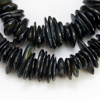 Natural Shell Beads Strands, Dyed, Chips, Black, 6~15x3~7x1~3mm, Hole: 1mm