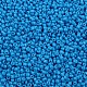 Baking Paint Glass Seed Beads(SEED-S001-K17)-2