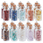 20Pcs 10 Styles Glass Wishing Bottle Pendants, with Natural Gemstone Chip Inside, Mixed Color, 42x16mm, Hole: 1.8mm, 2pcs/style(PALLOY-HY00068)