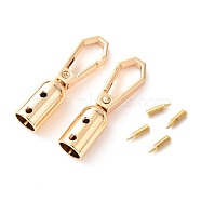 Zinc Alloy DIY Bags Clasps,  with Screw, for Webbing, Strapping Bags Accessories, Light Gold, 4.55x1.25x1.25cm, Inner Diameter: 0.85cm(PALLOY-A068-05LG)