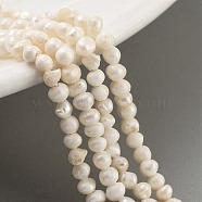 Natural Cultured Freshwater Pearl Beads Strands, Potato, PapayaWhip, 2~3mm, Hole: 0.5mm, about 70~71pcs/strand, 6.89~7.09 inch(17.5~18cm)(PEAR-C003-25)