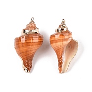 Natural Conch Shell Big Pendants, Shell Shaped Charms with Golden Tone Iron Loops, Chocolate, 43~68.5x20~37x19.5~31mm, Hole: 1.4~1.8mm(SSHEL-N038-24C)