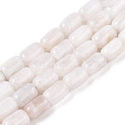 Natural Rainbow Moonstone Beads Strands, Column, 9~9.5x6mm, Hole: 0.9~1mm, about 42~43pcs/strand, 15.24~15.8''(38.7~39.5cm)(G-G980-30A)