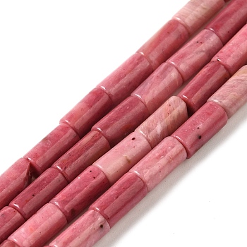 Natural Rhodonite Beads Strands, Column, 8x4mm, Hole: 0.7mm, about 48pcs/strand, 15.35~15.43''(39~39.2cm)