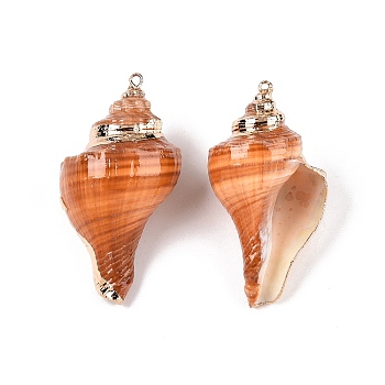 Natural Conch Shell Big Pendants, Shell Shaped Charms with Golden Tone Iron Loops, Chocolate, 43~68.5x20~37x19.5~31mm, Hole: 1.4~1.8mm