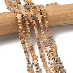 Natural Crazy Agate Beads Strands, Star, 6x6x2mm, Hole: 0.7mm, about 72pcs/strand, 14.96''(38cm)(G-F817-A05-01)