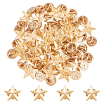 40pcs Alloy Star Brooch, Men's Shirt Collar Pins, Golden, 17x18x4mm(AJEW-FH0004-23G)