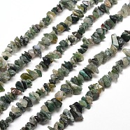 Natural Moss Agate Chip Bead Strands, 5~8x5~8mm, Hole: 1mm, about 31.5 inch(X-G-M205-45)