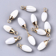 Natural Freshwater Shell Charms, with Light Gold Plated Brass Loop and Half Drilled Hole, Teardrop, Creamy White, 14~15x5mm, Hole: 1.8mm, Half Hole: 0.9mm(SHEL-N026-46)