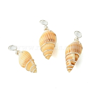 Natural Spiral Shell Pendants, Shell Shaped Charms with Copper Wire Wrapped, Silver, 28x10.5x8.5mm, Hole: 4mm(PALLOY-JF02793-02)