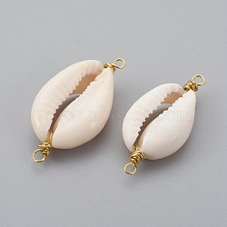 Cowrie Shell Links connectors, with Brass Findings, Golden, Seashell, 26~38x10~14x6~8mm, Hole: 1.5mm(PALLOY-JF00366)