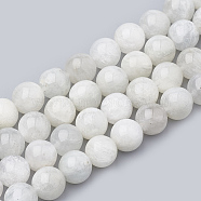 Natural Rainbow Moonstone Beads Strands, Round, 10mm, Hole: 1mm, about 37~38pcs/strand, 14.96~15.35 inch(38~39cm)(G-S333-10mm-002)