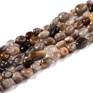 Natural Black Sunstone Beads Strands, Nuggets, Tumbled Stone, 5~8.5x5.5~7x3.5~4mm, Hole: 0.7mm, about 64pcs/strand, 16.34''(41.5cm)(G-G018-03B)