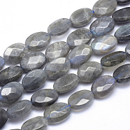 Natural Labradorite Beads Strands, Faceted, Oval, 12x8x4.5mm, Hole: 1mm, about 33pcs/strand, 14.9 inch(38cm)(G-K223-62B)